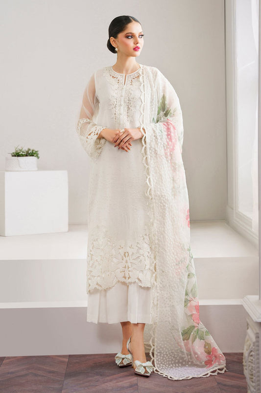 Baroque Luxury Festive Collection - SFC