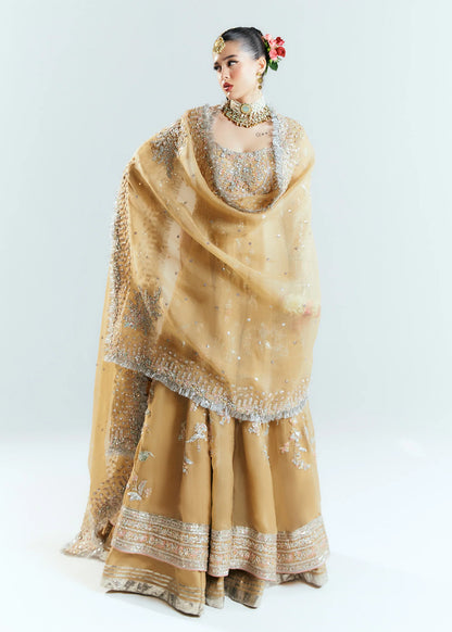 Hussain Rehar Unstitched Organza Embellished Frock | Aether | SLC