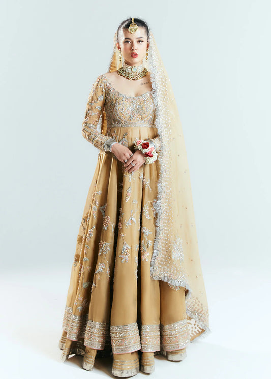 Hussain Rehar Unstitched Organza Embellished Frock | Aether | SLC