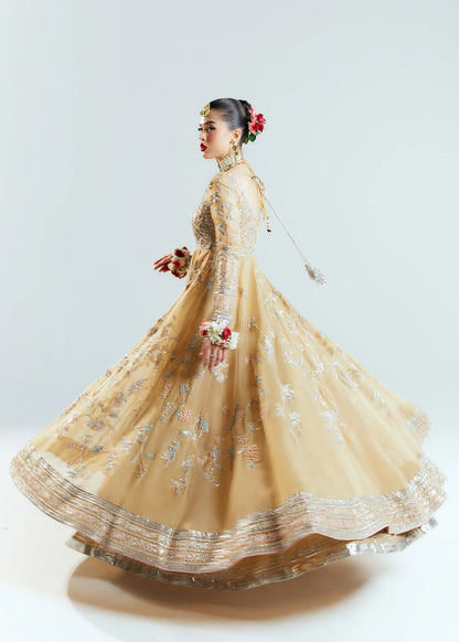 Hussain Rehar Unstitched Organza Embellished Frock | Aether | SLC