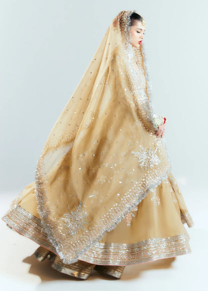 Hussain Rehar Unstitched Organza Embellished Frock | Aether | SLC