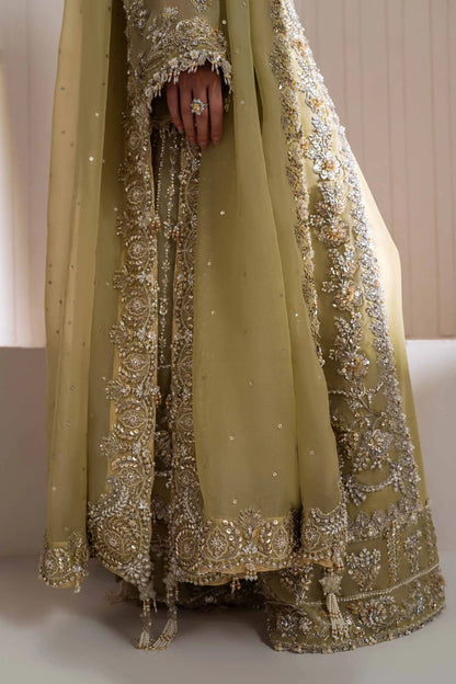 Elan Unstitched Embellished Organza Suit | Leonore | SLC