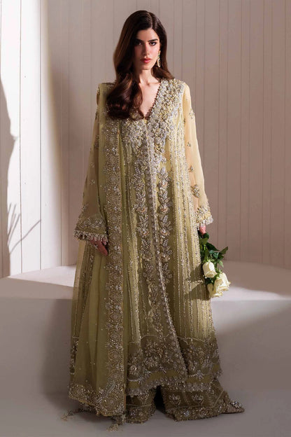 Elan Unstitched Embellished Organza Suit | Leonore | SLC