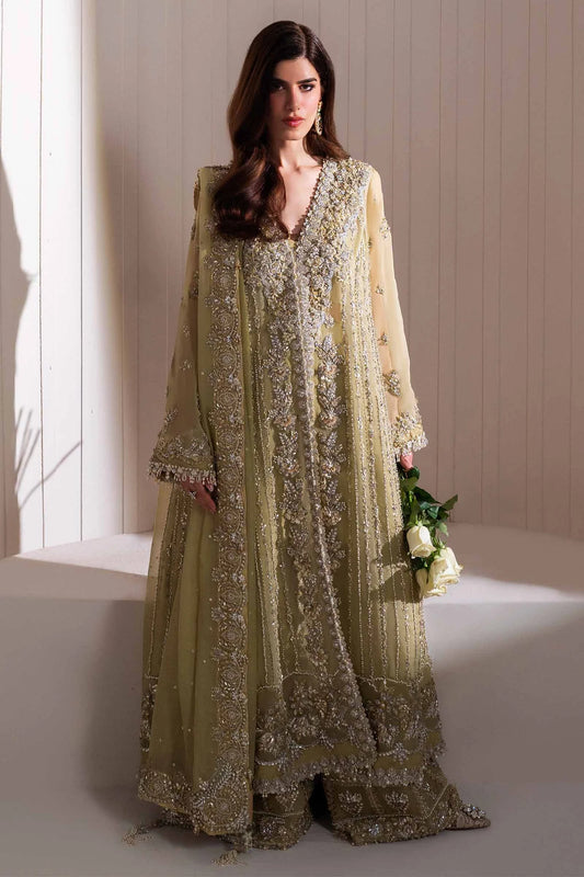 Elan Unstitched Embellished Organza Suit | Leonore | SLC